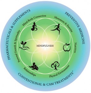 Duke Integrative Medicine's "Wheel of Health"