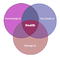 medical model of care