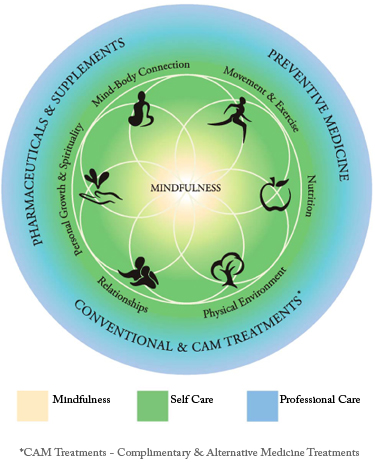 thewheelofhealth
